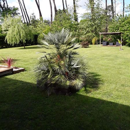 Chambre D'Hotes Les Iris A Mios Sur Le Bassin D'Arcachon Esterno foto