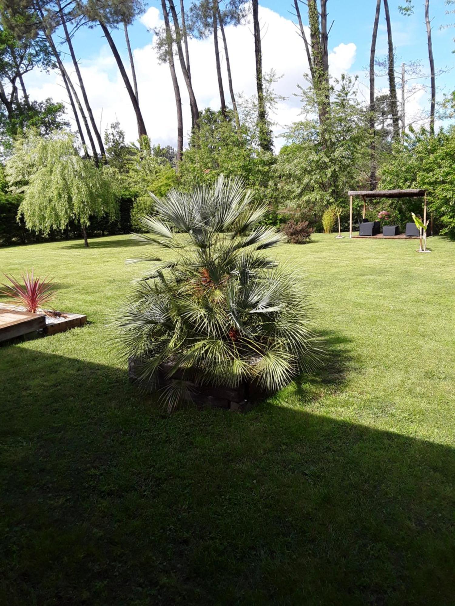 Chambre D'Hotes Les Iris A Mios Sur Le Bassin D'Arcachon Esterno foto